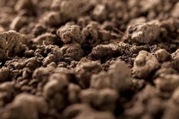 土壤酸碱度怎么划分,6.5以下为酸性、7.5以上为碱性