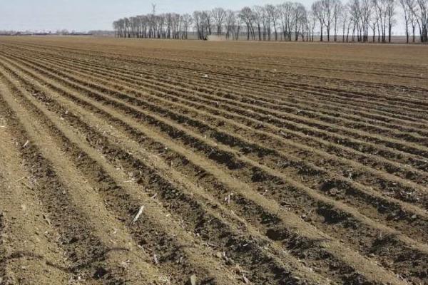 土壤酸碱度怎么划分,6.5以下为酸性、7.5以上为碱性