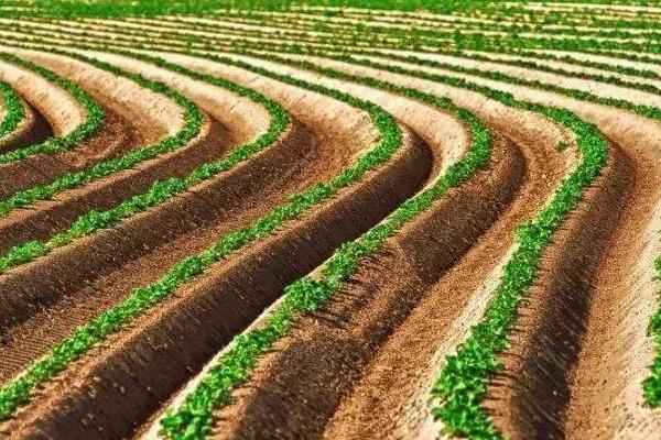 农业三产是指什么,指的是第三产业