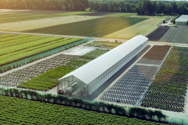 农业三产是指什么,指的是第三产业