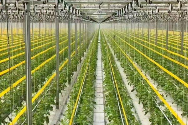 农业三产是指什么,指的是第三产业