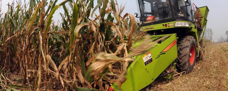 小麦收割机改装玉米收割机需要什么配件