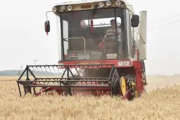 小麦收割机改装玉米收割机需要什么配件,加大割台、加长拨禾轮