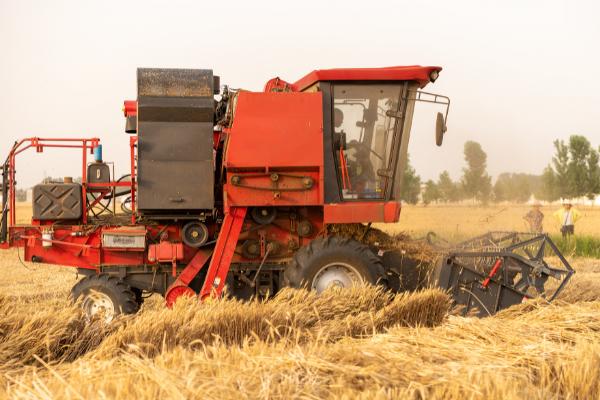 小麦收割机改装玉米收割机需要什么配件,加大割台、加长拨禾轮