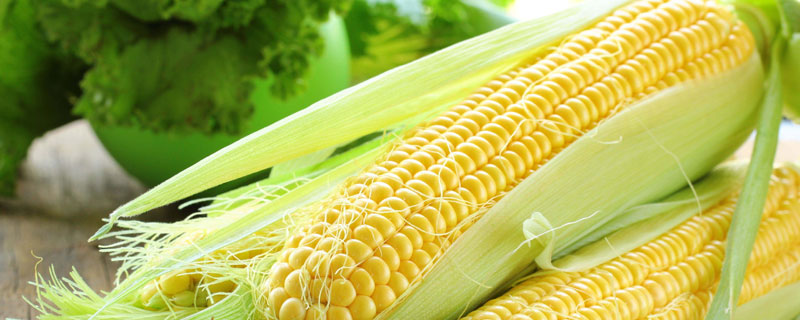 新农009玉米种子简介