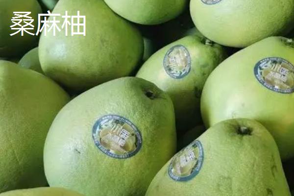 柚子有哪些品种,金香柚、坪山柚、桑麻柚、兰柚等品种较常见