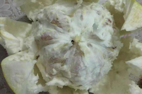 柚子有哪些品种,金香柚、坪山柚、桑麻柚、兰柚等品种较常见