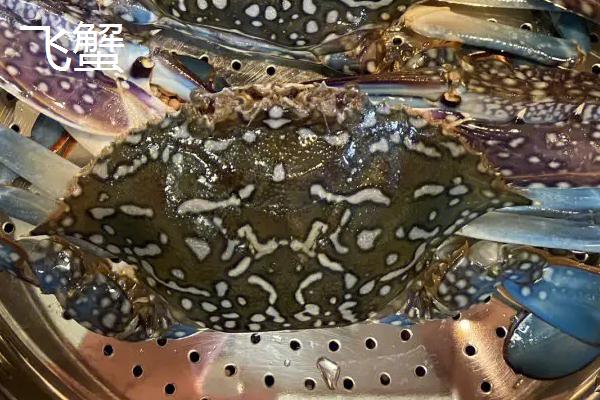 飞蟹和梭子蟹的区别,外观、口感和生活习性均不同