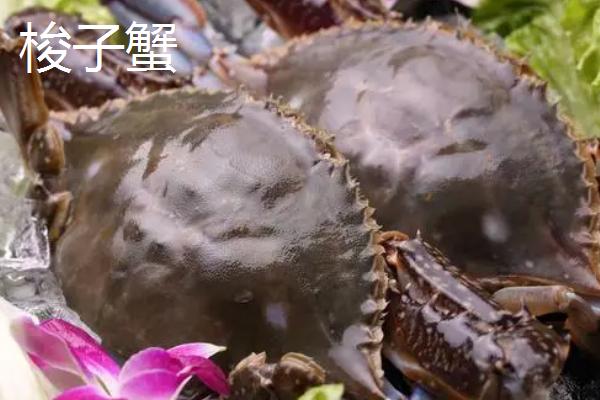 飞蟹和梭子蟹的区别,外观、口感和生活习性均不同