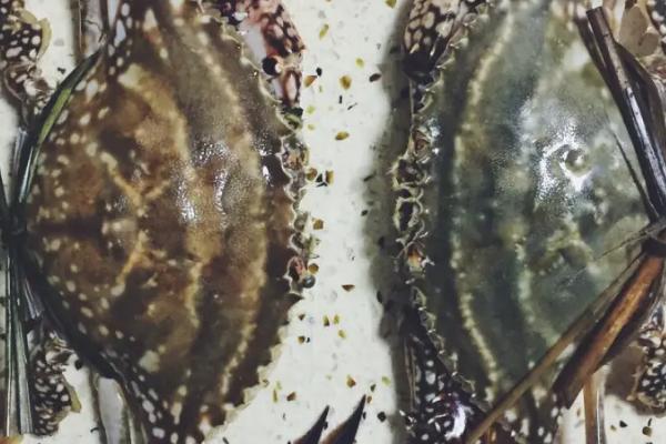 飞蟹和梭子蟹的区别,外观、口感和生活习性均不同