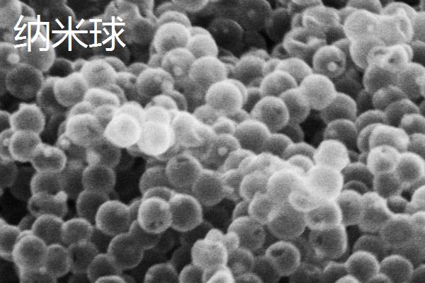 纳米球和陶瓷环哪个更好,二者各有优势但培菌效用相近