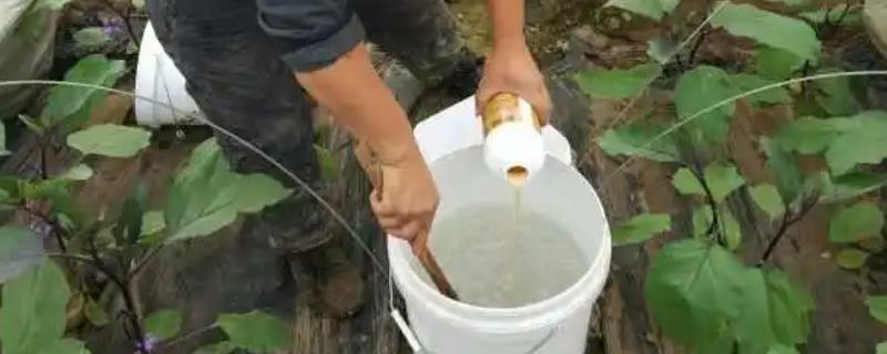 大量元素水溶肥施肥技巧