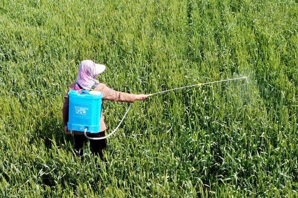 大量元素水溶肥施肥技巧,要防止直接冲施