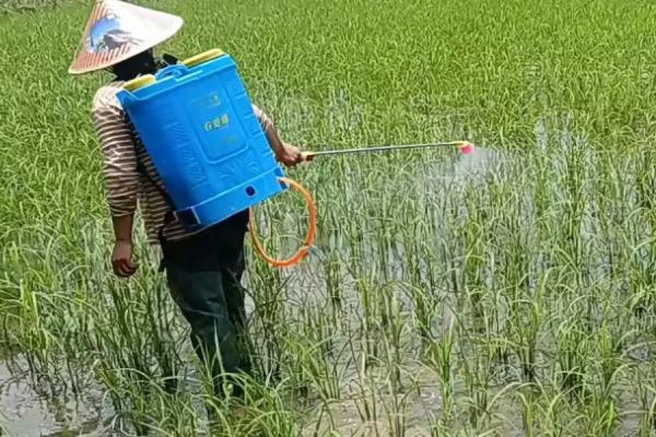 大量元素水溶肥施肥技巧,要防止直接冲施