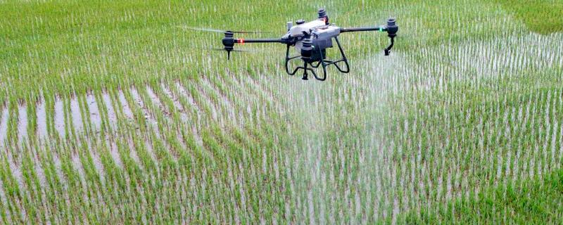 双草醚的防治对象