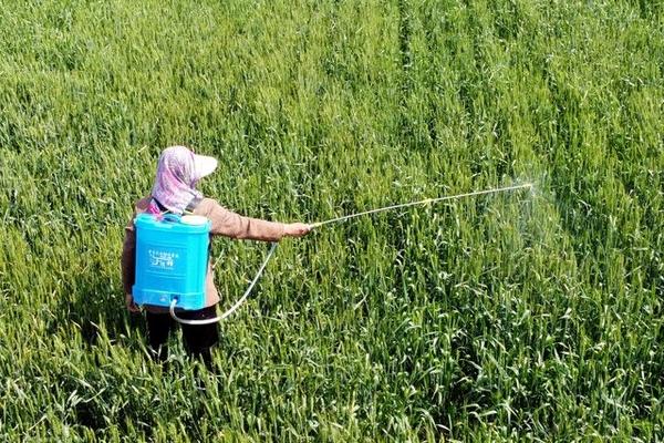 双草醚的防治对象,对大多数阔叶杂草有效