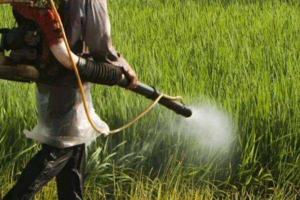 双草醚的防治对象,对大多数阔叶杂草有效