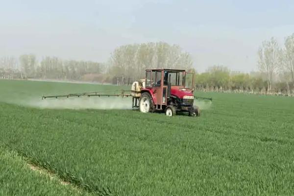 双草醚的防治对象,对大多数阔叶杂草有效