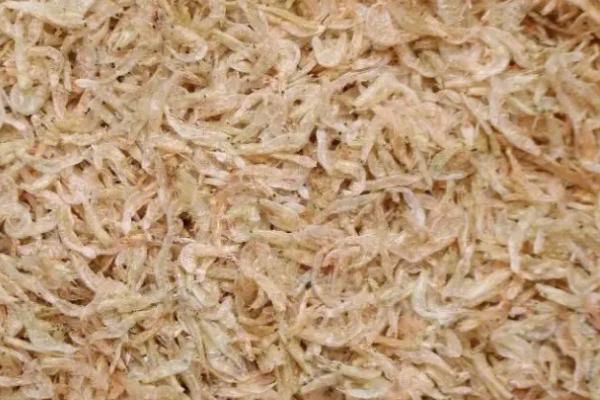 鸡能不能吃虾皮,富含钙元素、可以用来喂鸡