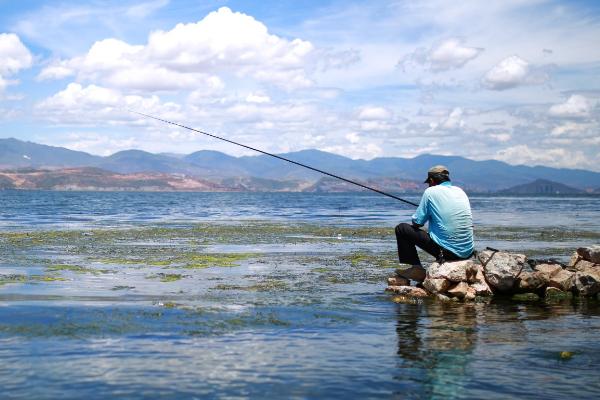 天冷鲫鱼钓近还是远,一般都是钓远