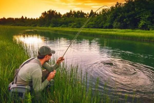 天冷鲫鱼钓近还是远,一般都是钓远