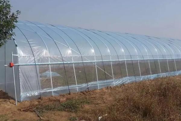 拱棚两侧如何保温,可在两侧的薄膜内再设一层膜