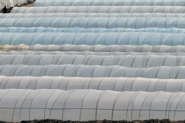 拱棚两侧如何保温,可在两侧的薄膜内再设一层膜