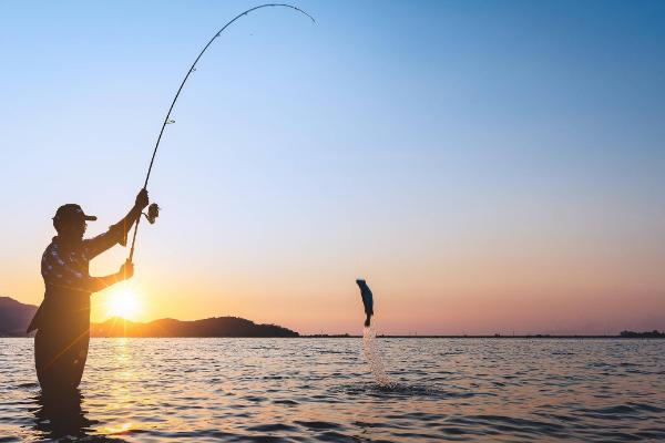 气温18℃左右如何垂钓翘嘴鱼,可将入水口作为钓位