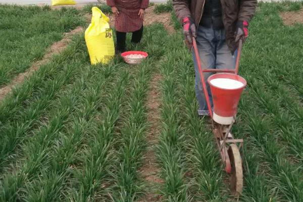 化肥施用方法,四个错误要避免