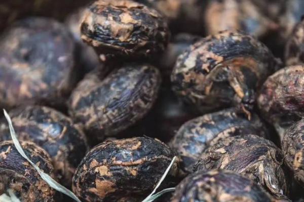 荸荠的贮存方法,可缸藏、窑藏或沙藏等