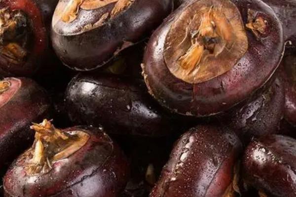 荸荠的贮存方法,可缸藏、窑藏或沙藏等