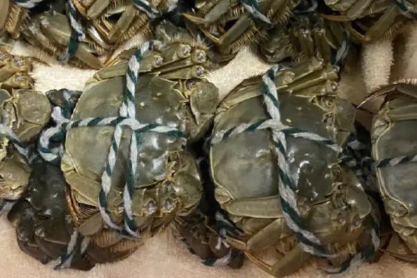 如何挑选大闸蟹,首先看蟹壳颜色