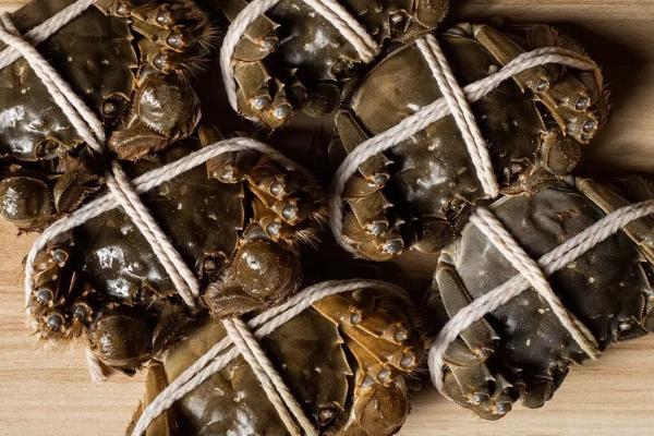 如何挑选大闸蟹,首先看蟹壳颜色