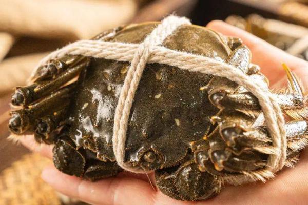 如何挑选大闸蟹,首先看蟹壳颜色