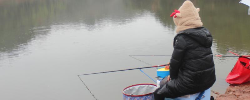 冬天鱼在水下几米活动