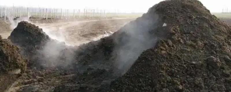 堆沤农家肥要注意什么