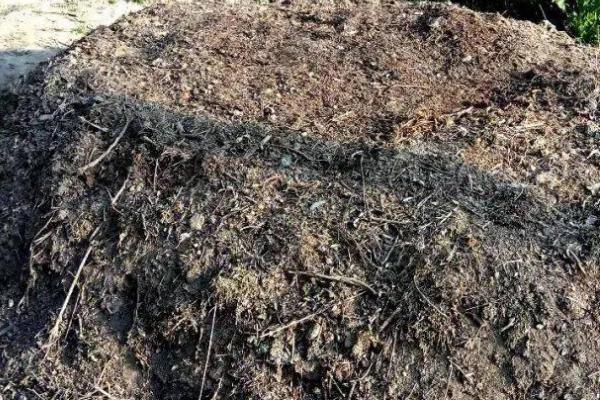 堆沤农家肥要注意什么,需选择背风向阳、交通方便的地方作为堆沤场所