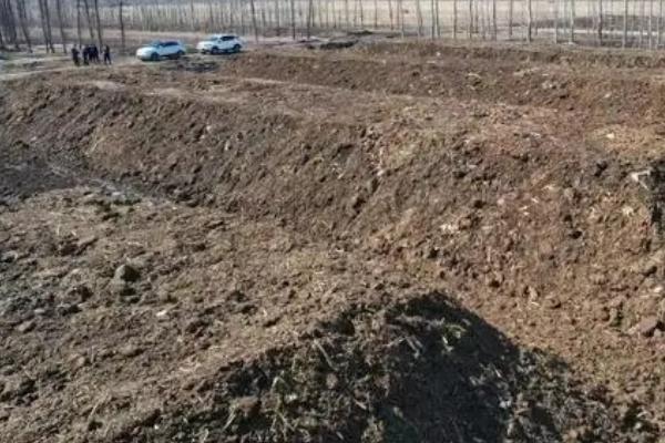 堆沤农家肥要注意什么,需选择背风向阳、交通方便的地方作为堆沤场所