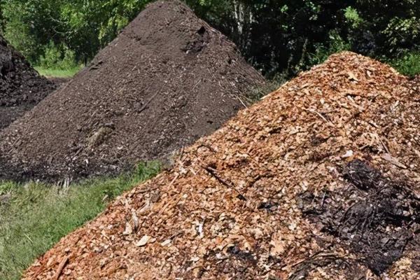堆沤农家肥要注意什么,需选择背风向阳、交通方便的地方作为堆沤场所