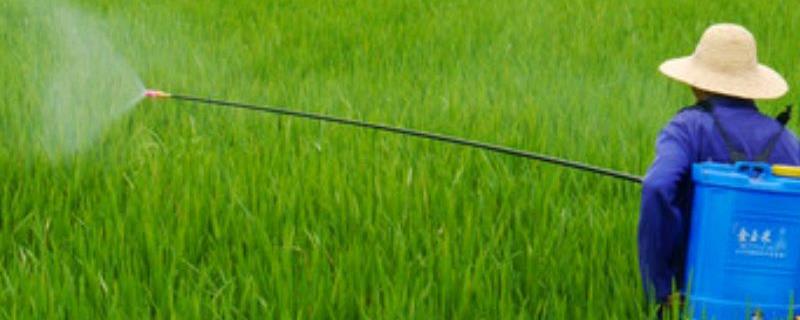 怎么鉴定除草剂的毒性