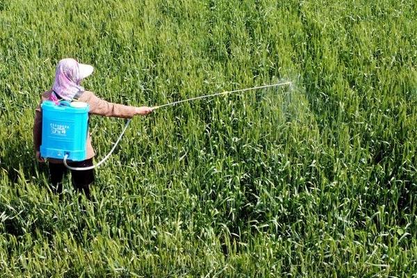 怎么鉴定除草剂的毒性,可采用喷雾法、液浸法等方式