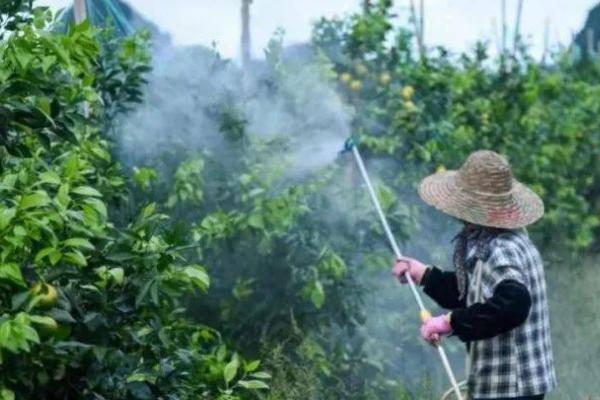 怎么鉴定除草剂的毒性,可采用喷雾法、液浸法等方式