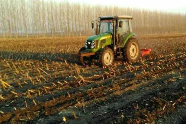 牛大力的种植方法,通常采用的种子繁殖方式