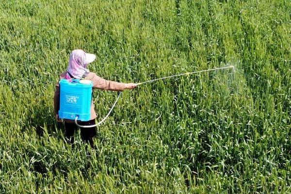 氯氰菊酯的使用方法,针对不同害虫的使用方法不同