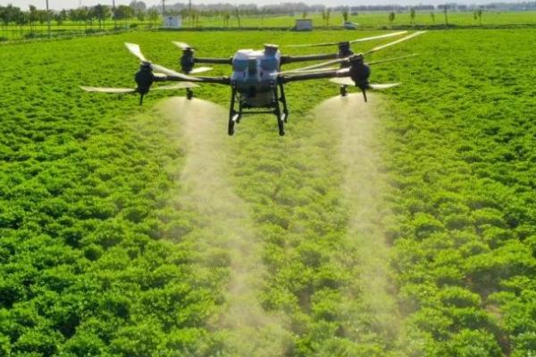 氯氰菊酯的使用方法,针对不同害虫的使用方法不同