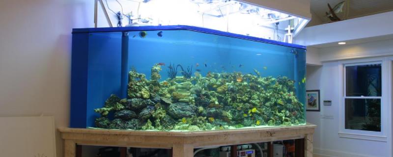 鱼缸底部铺什么