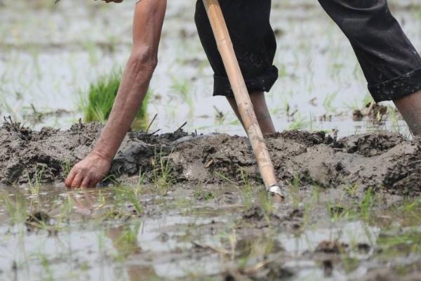 农活有哪些,每一个季节都不同