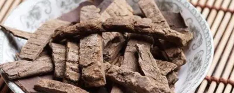 杜仲亩产多少斤