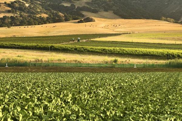 土壤酸碱度对作物生长有哪些影响，注意有这四方面