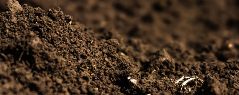 什么是土的颗粒级配